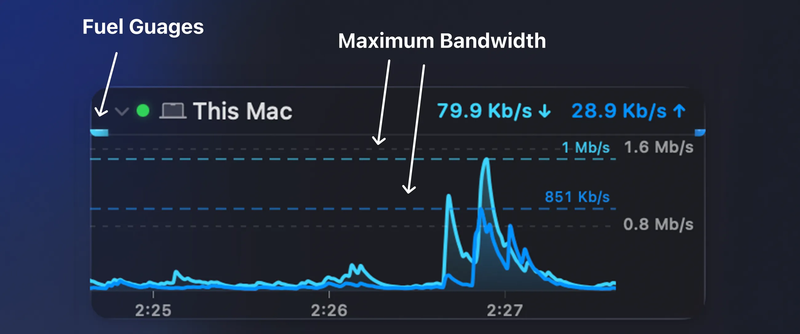 A single Bandwidth Monitor with its fuel gauges and maximum bandwidth lines labelled