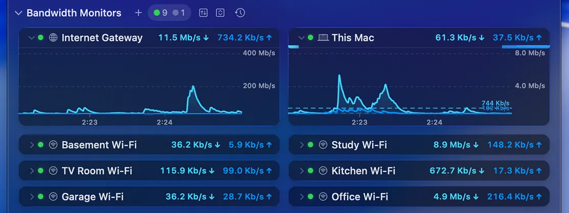 Bandwidth Monitors in the Main View